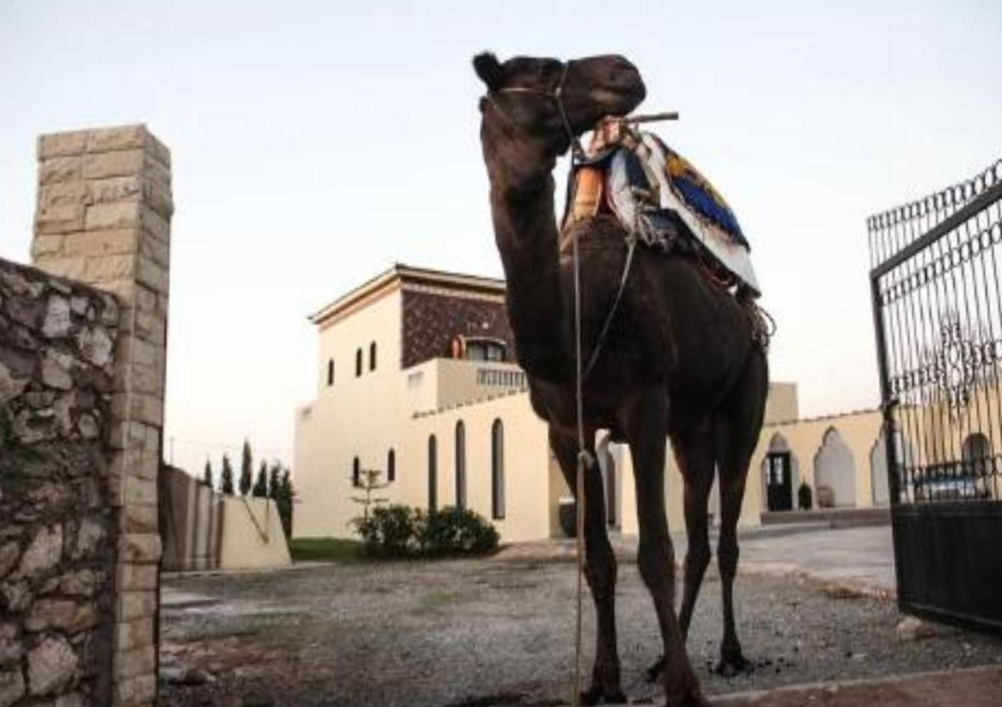 Sidi Kaouki Ayt Karoum Hotel Buitenkant foto